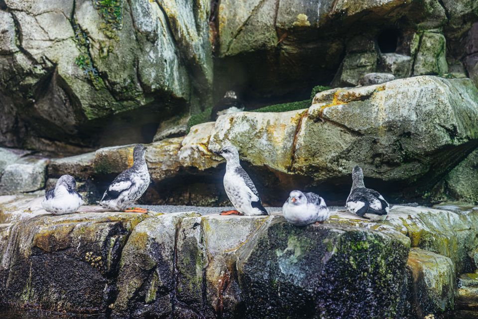 LA: Aquarium of the Pacific Skip-the-Line Entry - Frequently Asked Questions