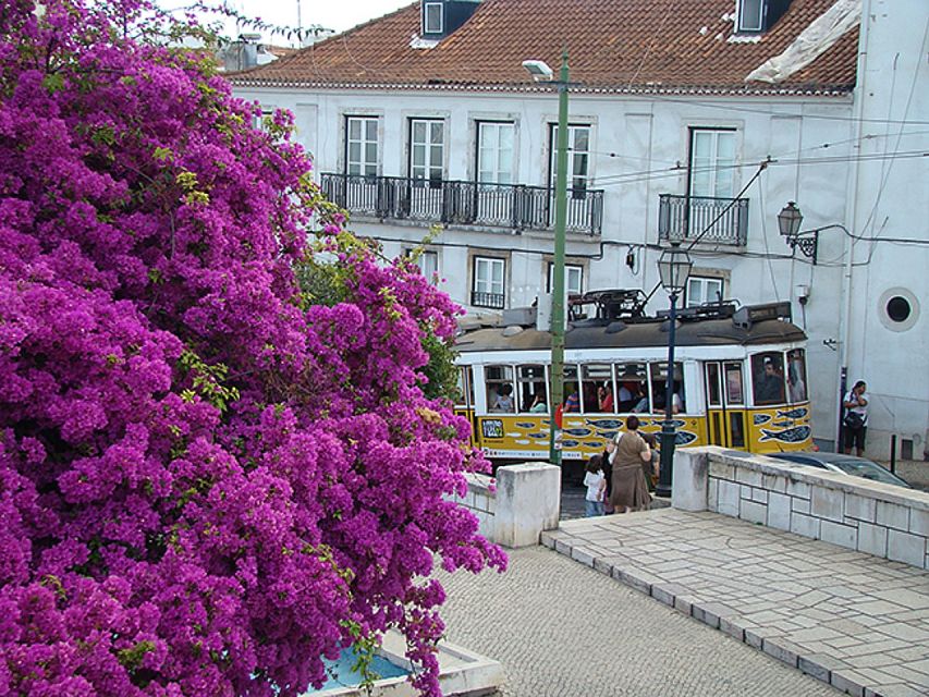 Lisbon: Private Tour to Lisbon and Pastéis De Belém Tasting - Recap