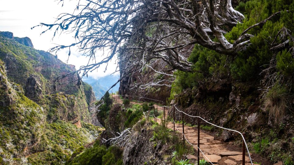 Madeira: Stairway To Heaven Pico Areeiro to Pico Ruivo Hike - Frequently Asked Questions