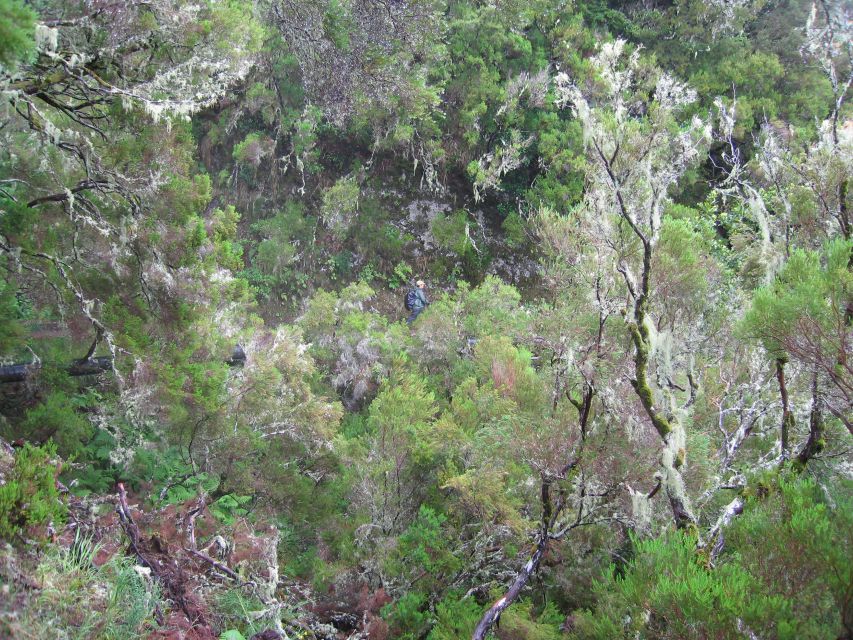 Madeira Walks - Rabaçal and the 25 Fountains - Frequently Asked Questions