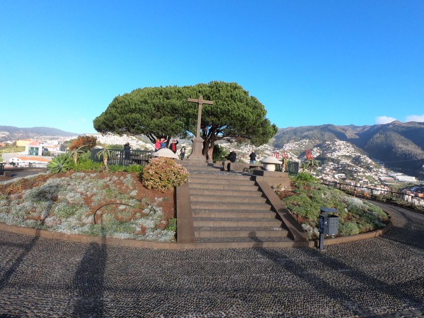 Madeira: Wine Tasting Experience Honey Museum and Cabo Girão - Recap