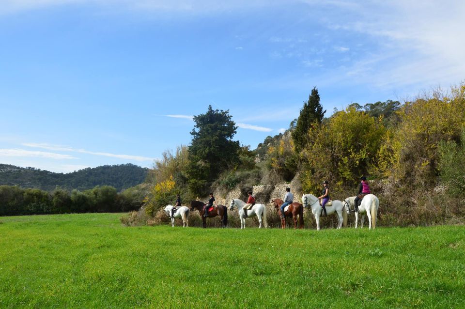 Mallorca: Activity, Antique Mallorca With Picnic - Things To Known