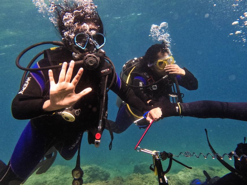 Mallorca: Private Beginner Scuba Dive With Photos and Video - Customer Reviews and Ratings