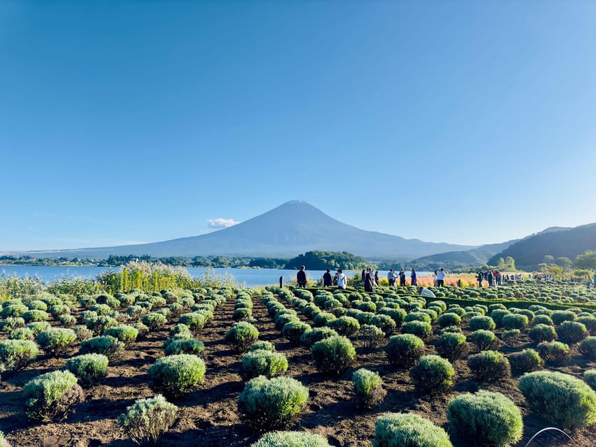 Mt. Fuji and Hakone Lake Ashi Day Tour With Pickup & Dropoff - Frequently Asked Questions