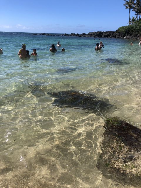 Oahu: Waimea Falls & North Shore Swim With Turtles Beach Day - Frequently Asked Questions