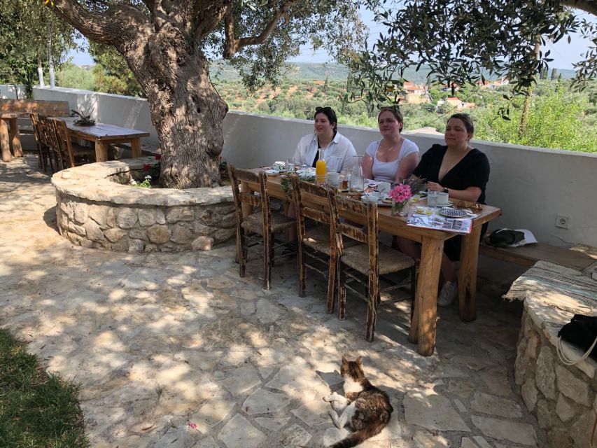 Olive Grove Tour & Olive Oil Tasting and Lunch in Messinia - Frequently Asked Questions