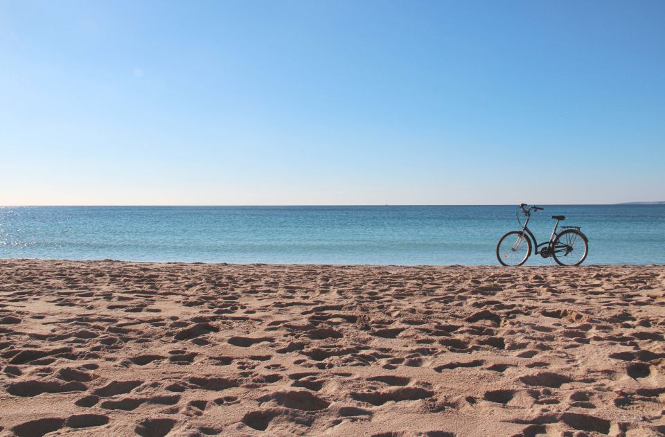 Palma Shore Excursion Bike Tour (Transfer Included) - Things To Known