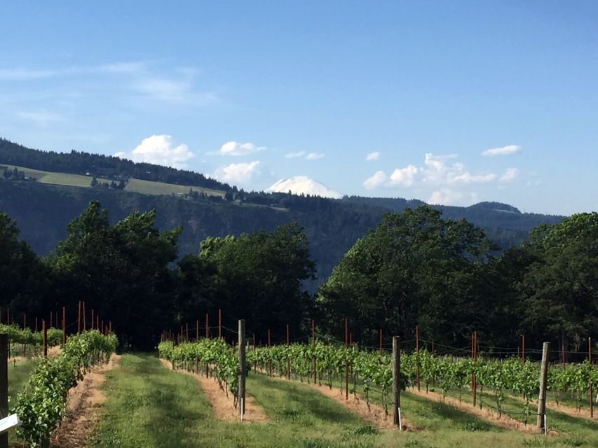 Portland: Mount Hood Wine and Waterfalls Full-Day Tour - Frequently Asked Questions