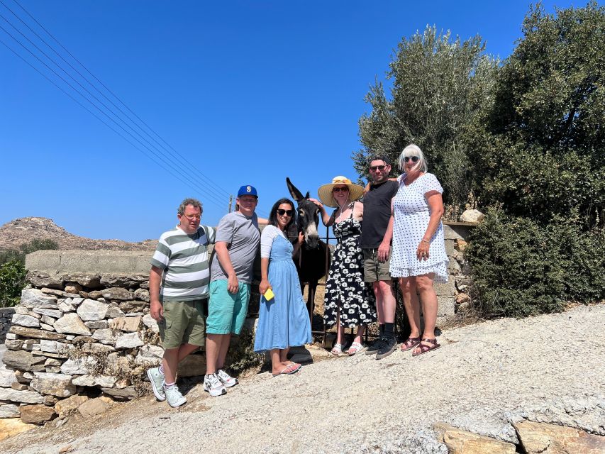 Private Day Tour in Naxos Lunch Included - Frequently Asked Questions