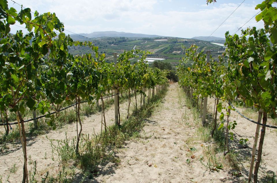 Semi Private Heraklion Valley Wine Tour With Lunch - Frequently Asked Questions