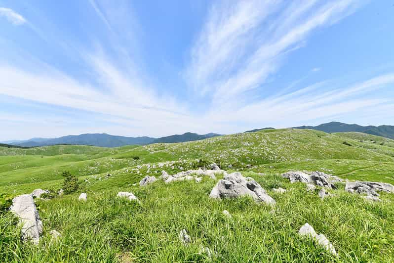 Sightseeing Bus Tour Happiness Tours on the Yamaguchi-go B - Frequently Asked Questions