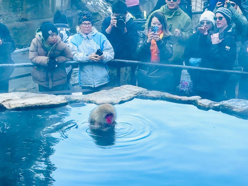 Snow Monkey and Zenko-ji Temple Nagano One Day Tour - Frequently Asked Questions