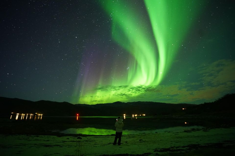 Tromsø: Northern Lights Tour With Free Professional Portrait - Frequently Asked Questions