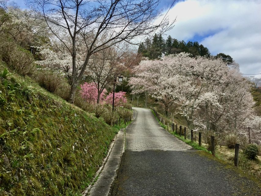 Yoshino: Private Guided Tour & Hiking in a Japanese Mountain - Mikumari Shrine