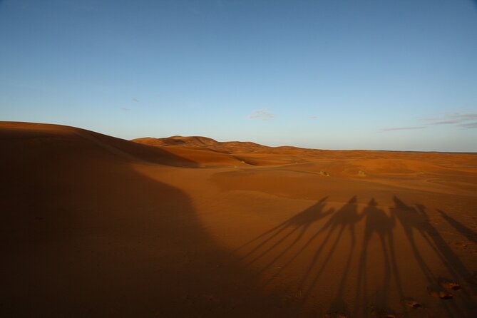 Agafay Desert Sunset, Camel Ride and Dinner From Marrakech - Key Points