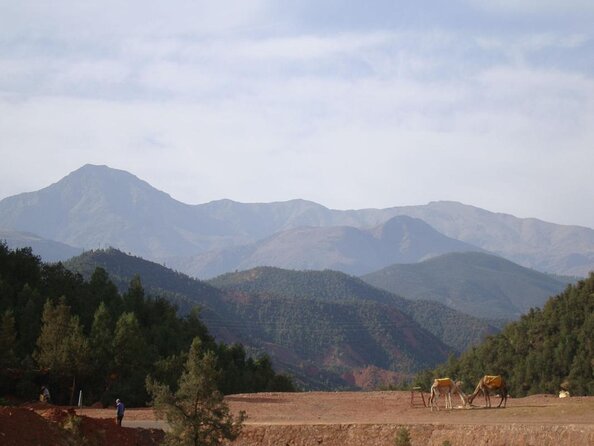 Agafay Desert: Three Valley Guided Tour From Marrakech - Key Points