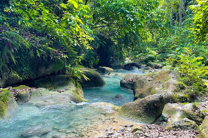 ALL INCLUSIVE Tour Through the Water Trail La Plaza - Key Points