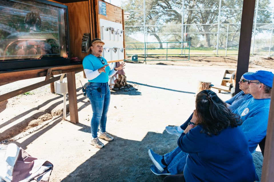 Alpine: Lions Tigers & Bears Animal Sanctuary Guided Visit - Key Points