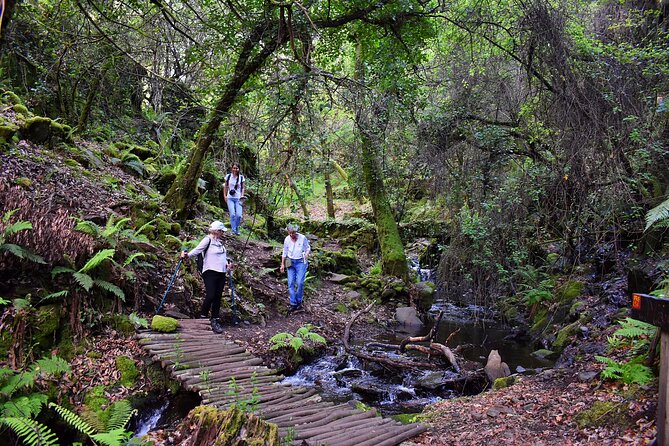 An Adventure Through the Schist Villages of Lousã (With Walk) - Inclusions and Exclusions