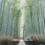 Arashiyama Self Guided Tour App Multilingual Audio Guide Tour Overview And Details