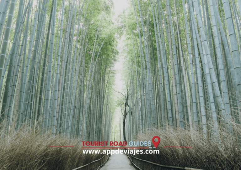 Arashiyama Self Guided Tour App Multilingual Audio Guide Tour Overview And Details