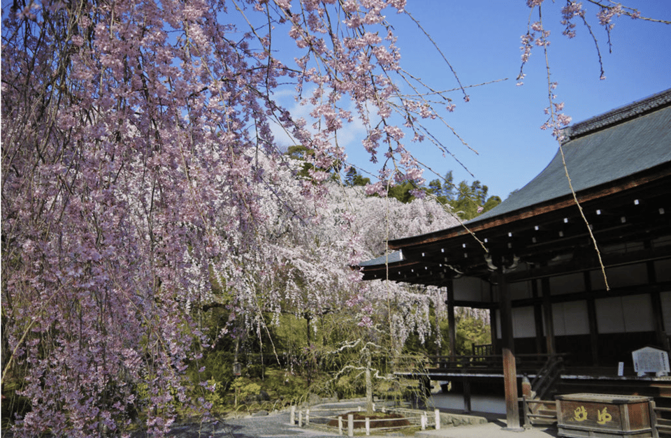 Arashiyama/Tenryu-Ji Tour: Harmony of Nature,Art &Garden - Course Details