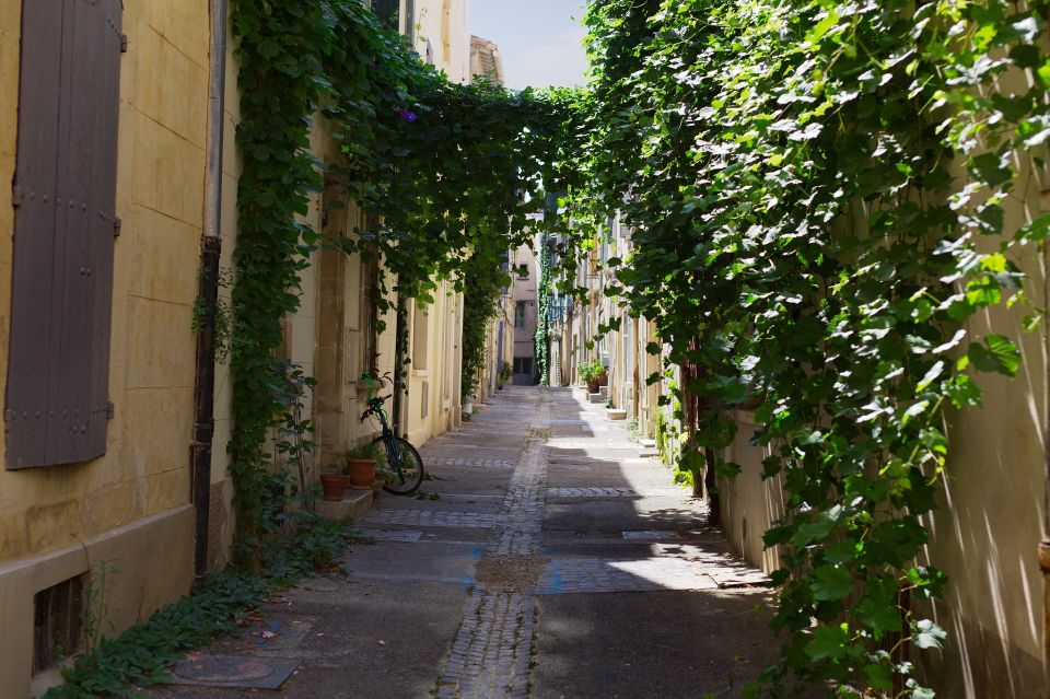 Arles 2-Hour Private Walking Tour - Key Points