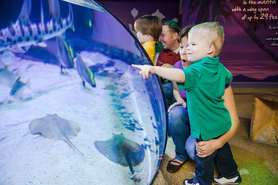 Auburn Hills: Legoland and Sea Life Aquarium Combo Ticket - Key Points