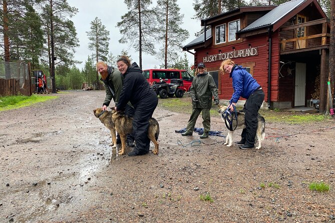 Autumn Husky Sit and Drive Cart Tour From Kiruna - Key Points