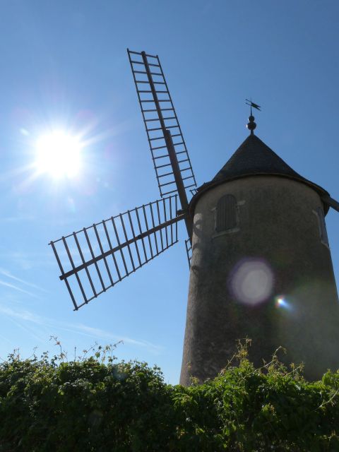 Beaujolais: Half-Day Wine Tour - Key Points