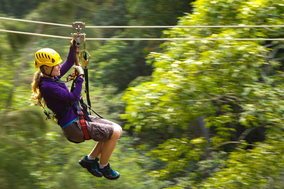 Big Island: Full-Day Kohala Zipline and Waterfall Adventure - Key Points