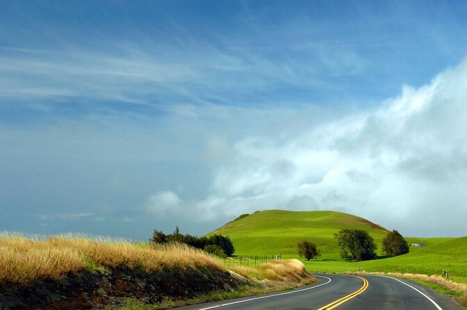 Big Island Kohala Canopy Zipline Adventure - Key Points