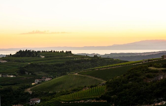 Bike Station Valpolicella: E-Bike Tour & Amarone Tasting - Key Points