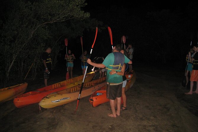 Bioluminescent Bay Kayak Trip From Vieques - Overview of the Kayaking Adventure