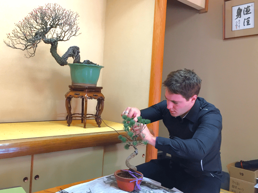 Bonsai City: Bonsai Tour & Experience at Bonsai Sanctuary - Key Points