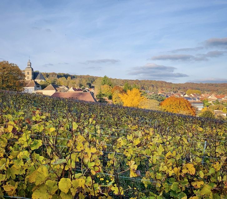 Champagne Tasting in Reims ! - Key Points