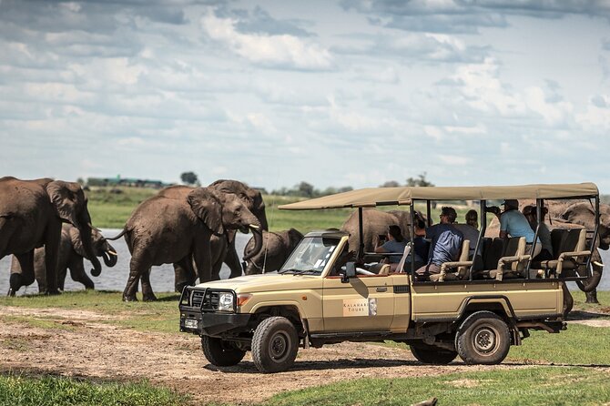 Chobe Day Trip Ex Livingstone / Victoria Falls - Key Points