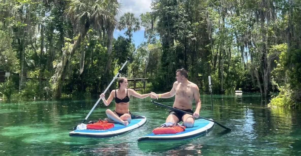 Crystal River: Paddle Board Rental - Key Points