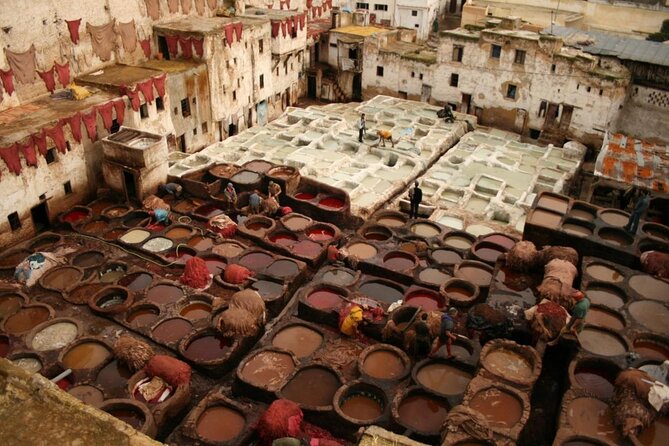 Cultural Tour in Medina of Fez With Local Guide and Driver - Key Points