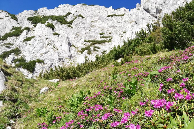 Day Hike PRIVATE - Piatra Craiului National Park - Inclusions and Offerings