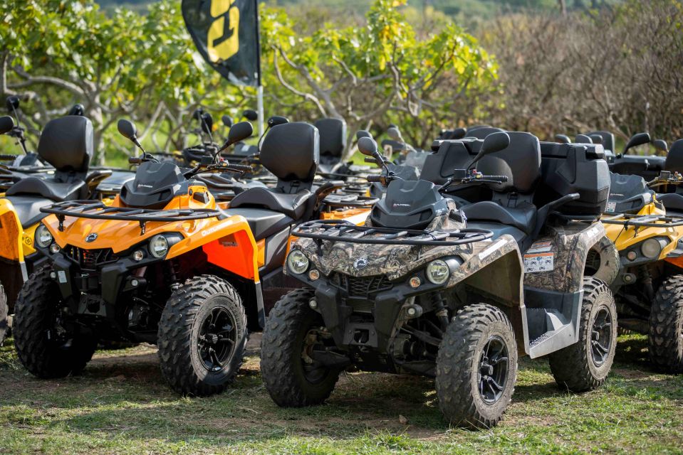 Dubrovnik: Countryside Guided ATV Tour & Tavern Refreshments - Key Points