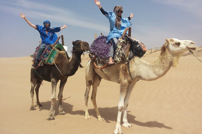 Essaouira 1 Hour Discovery Ride on the Back of a Camel - Overview of the Camel Ride