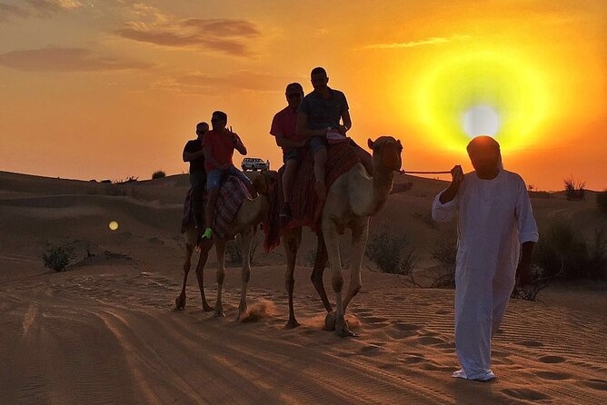 Evening Desert Safari:Dune Bashing, Camel Ride, Live Shows, BBQ Dinner & More - Key Points