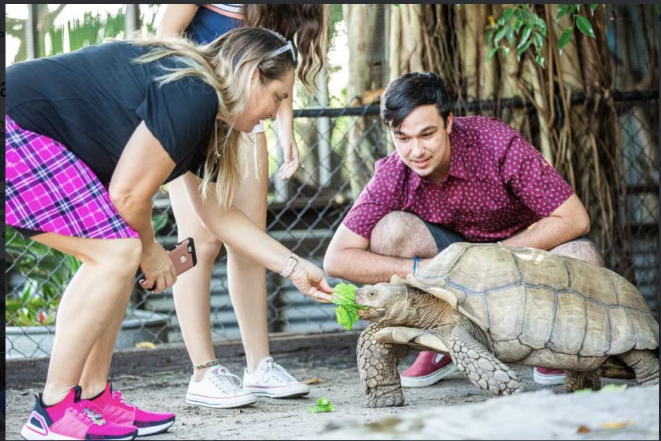 Everglades: Sawgrass Park Reptile Exhibit Private Tour - Key Points