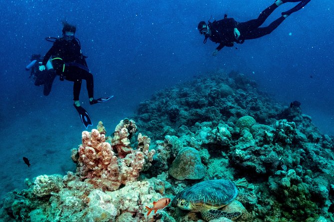 Exploration Dives for Experienced Divers - Key Points