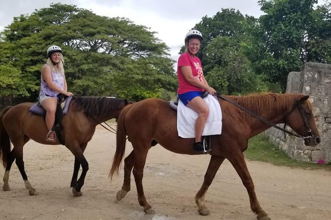 Falmouth Shore Excursion: Braco Stables Horseback Ride and Swim - Key Points