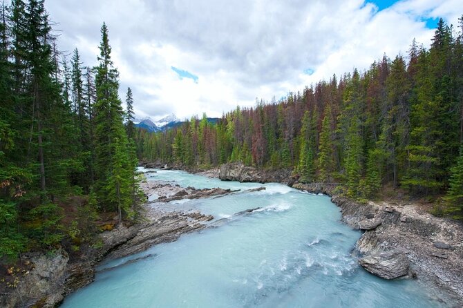 Family Rafting Adventure | Kicking Horse River - Key Points