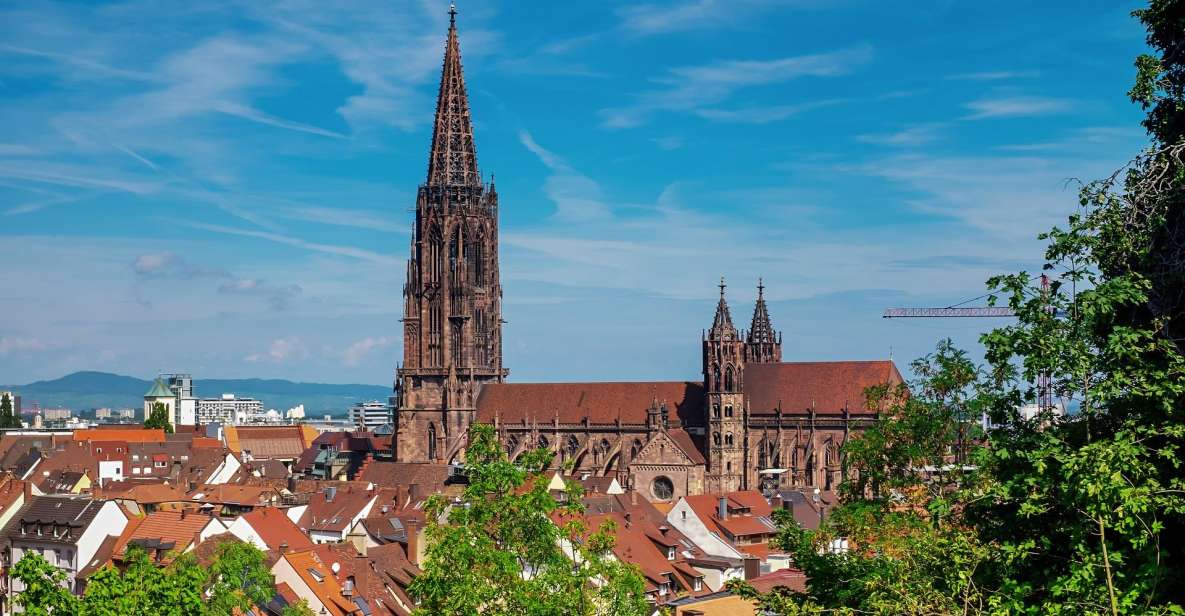 Freiburg: Private Exclusive History Tour With a Local Expert - Key Points