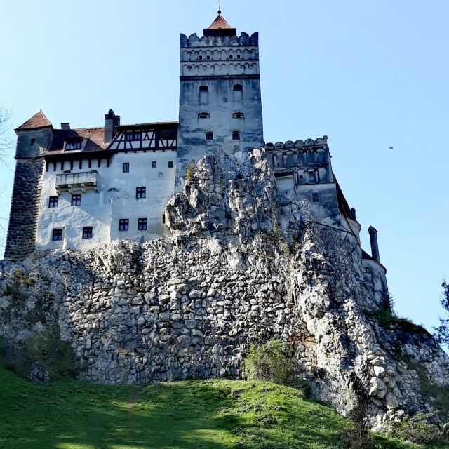 From Bucharest: Draculas Castle & Bear Sanctuary Adventure - Key Points