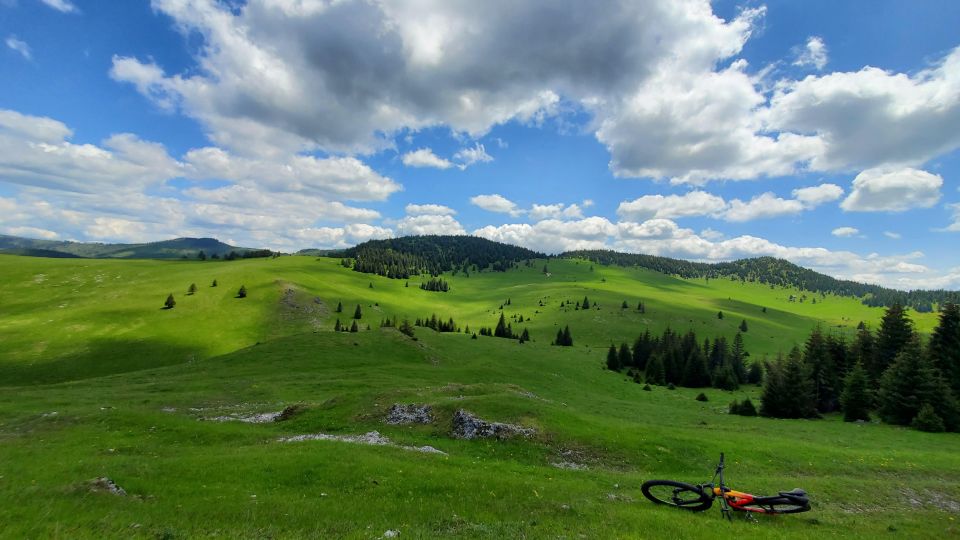 From Cluj-Napoca: Carpathian Mountains Guided Scenic Hike - Key Points